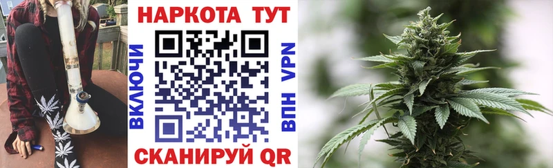 Наркошоп купить Гашиш Лсд 25 МЕФ COCAIN Кстово