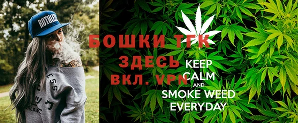 амфетамин Ельня