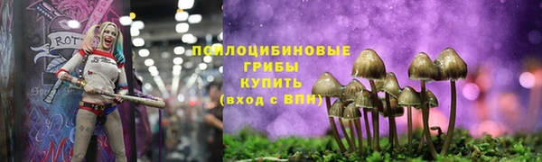 амфетамин Ельня