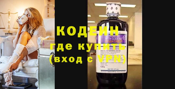 гидра Елабуга