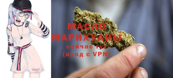 соль ск Дмитров