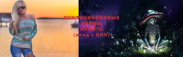 амфетамин Ельня