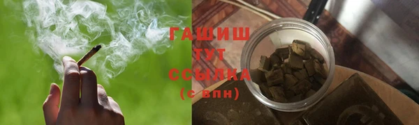 гидра Елабуга