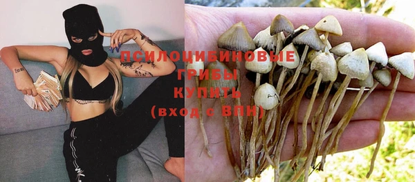 гидра Елабуга