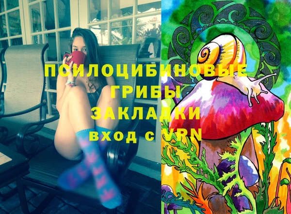 гидра Елабуга
