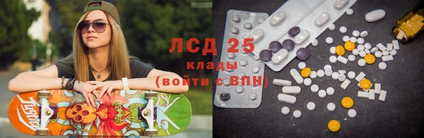 гидра Елабуга