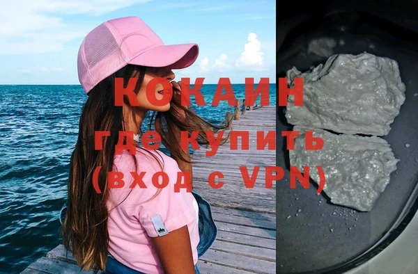 гидра Елабуга
