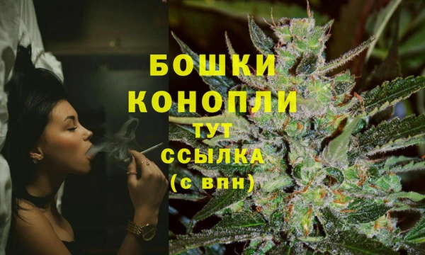 спиды Дмитриев