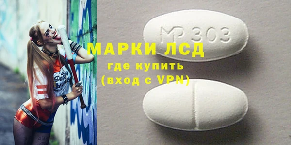 гидра Елабуга