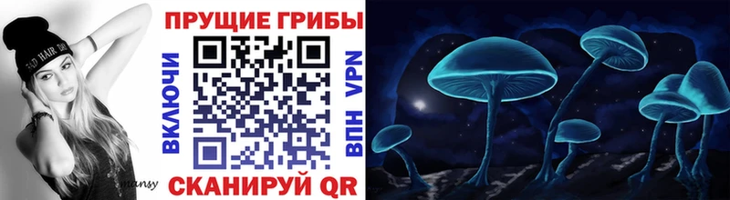 Галлюциногенные грибы MAGIC MUSHROOMS  Купить где  Кстово 